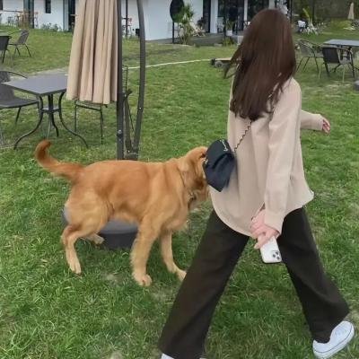 孩子王